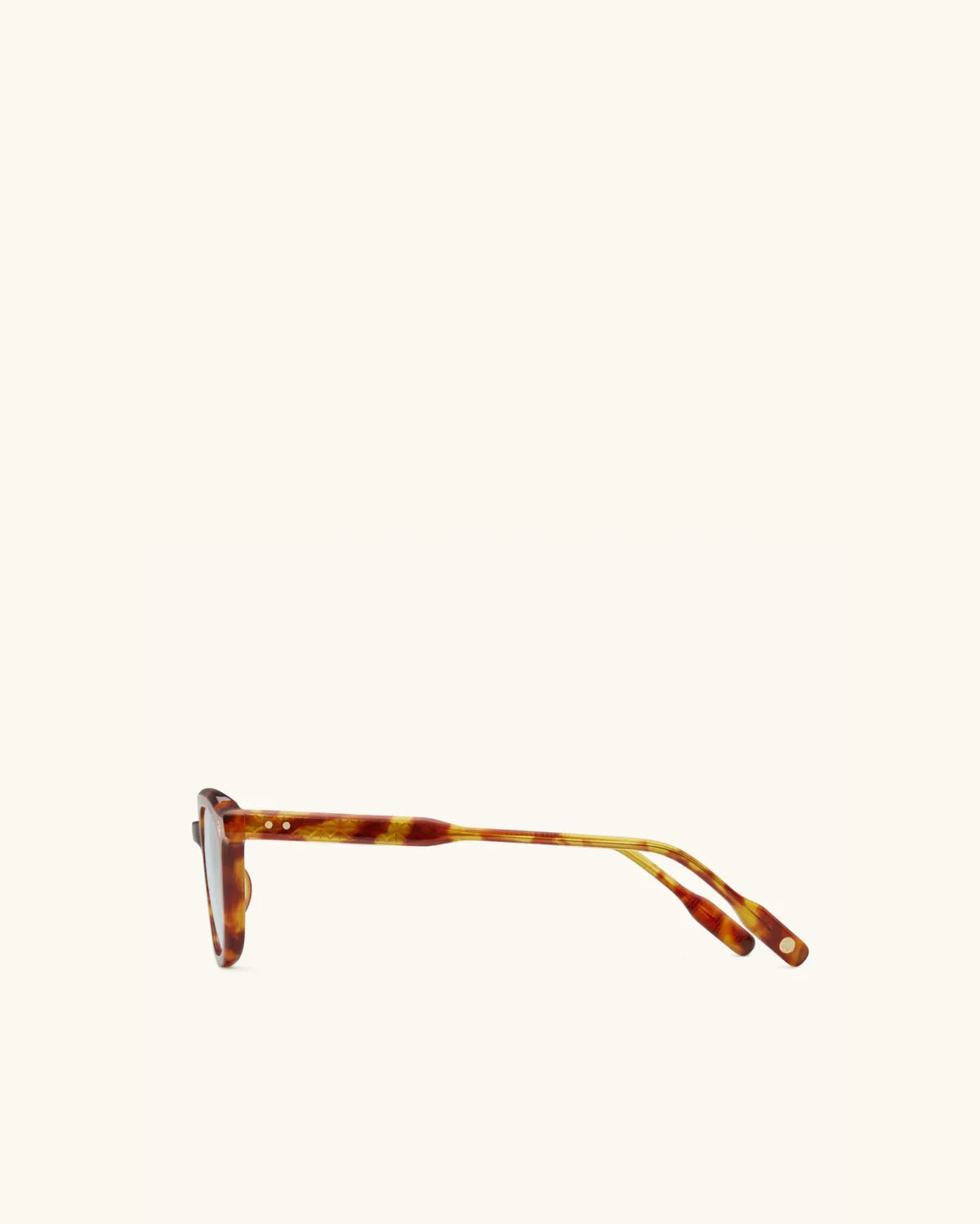 Enigma - VINTAGE HAVANA & 14K GOLD/BLUE-Square Frame Sunglasses-LUNETTERIE GÉNÉRALE- Pointure.AE