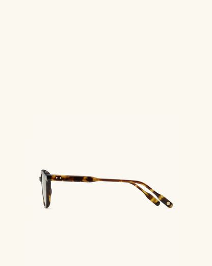 Enigma - MEDIUM TORTOISE & 14K GOLD/GREEN-Square Frame Sunglasses-LUNETTERIE GÉNÉRALE- Pointure.AE